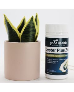Good Health Oyster Plus Zinc 60 capsules